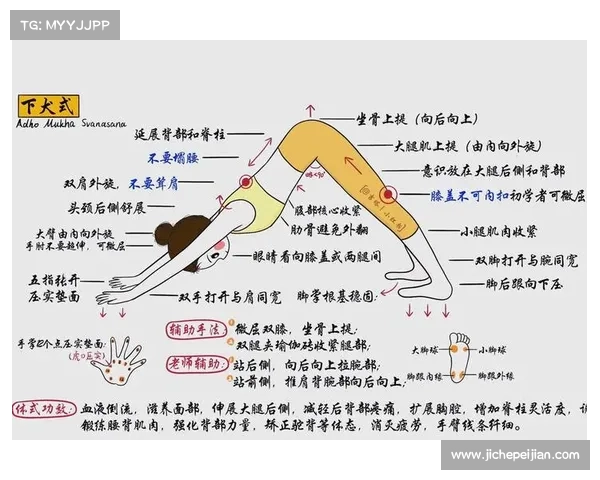 瑜伽导师与久井悦子探讨植物甜味剂对运动表现与恢复的益处 瑜伽导师与久井悦子探讨植物甜味剂对运动表现与恢复的益处